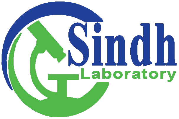 sindhlab.com